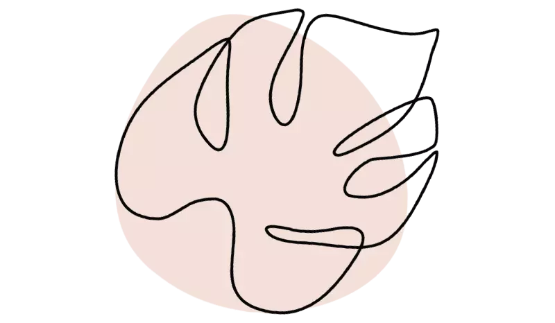 Illustration d'un feuille